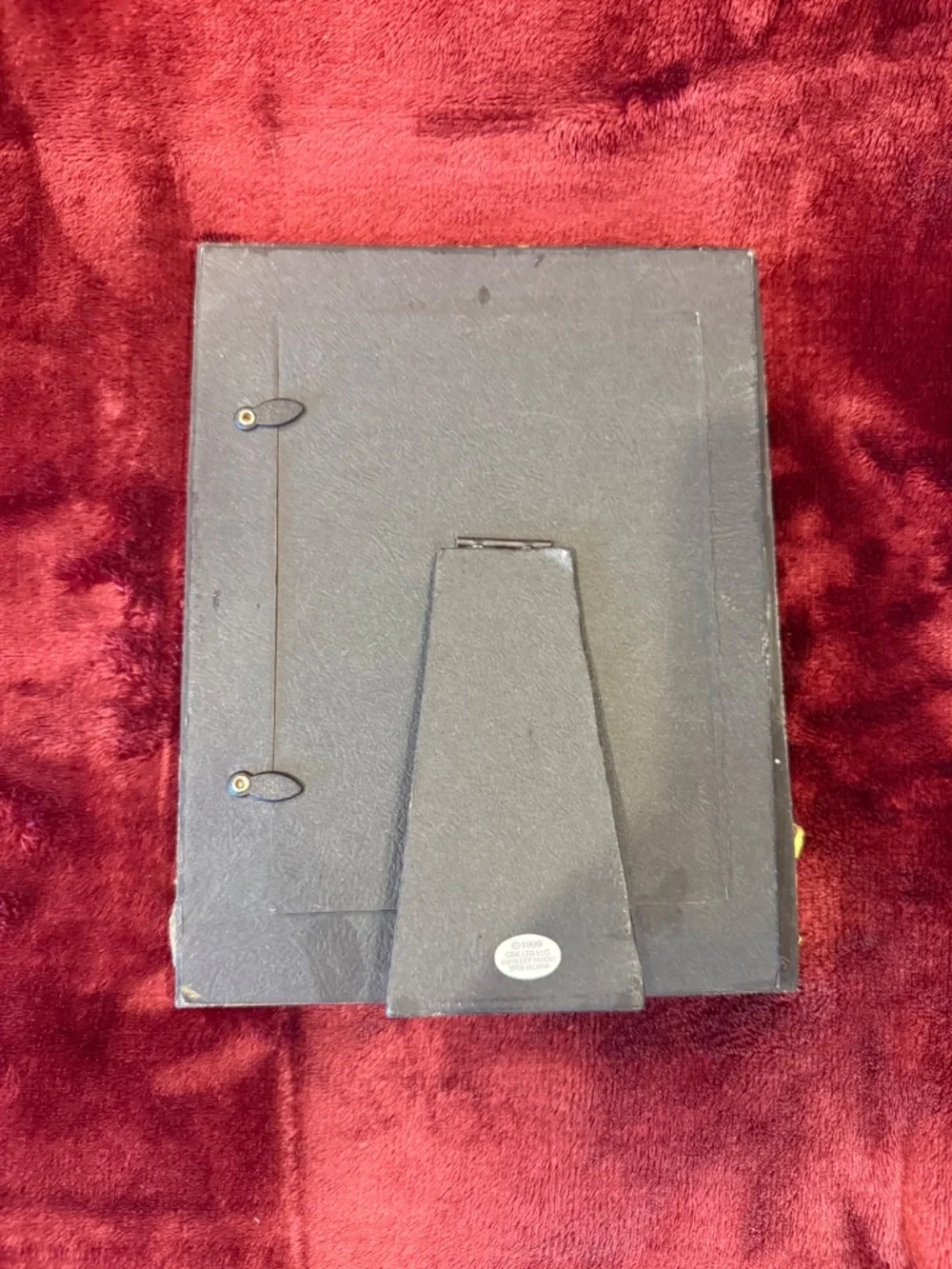 Monkey Photo Frame 4